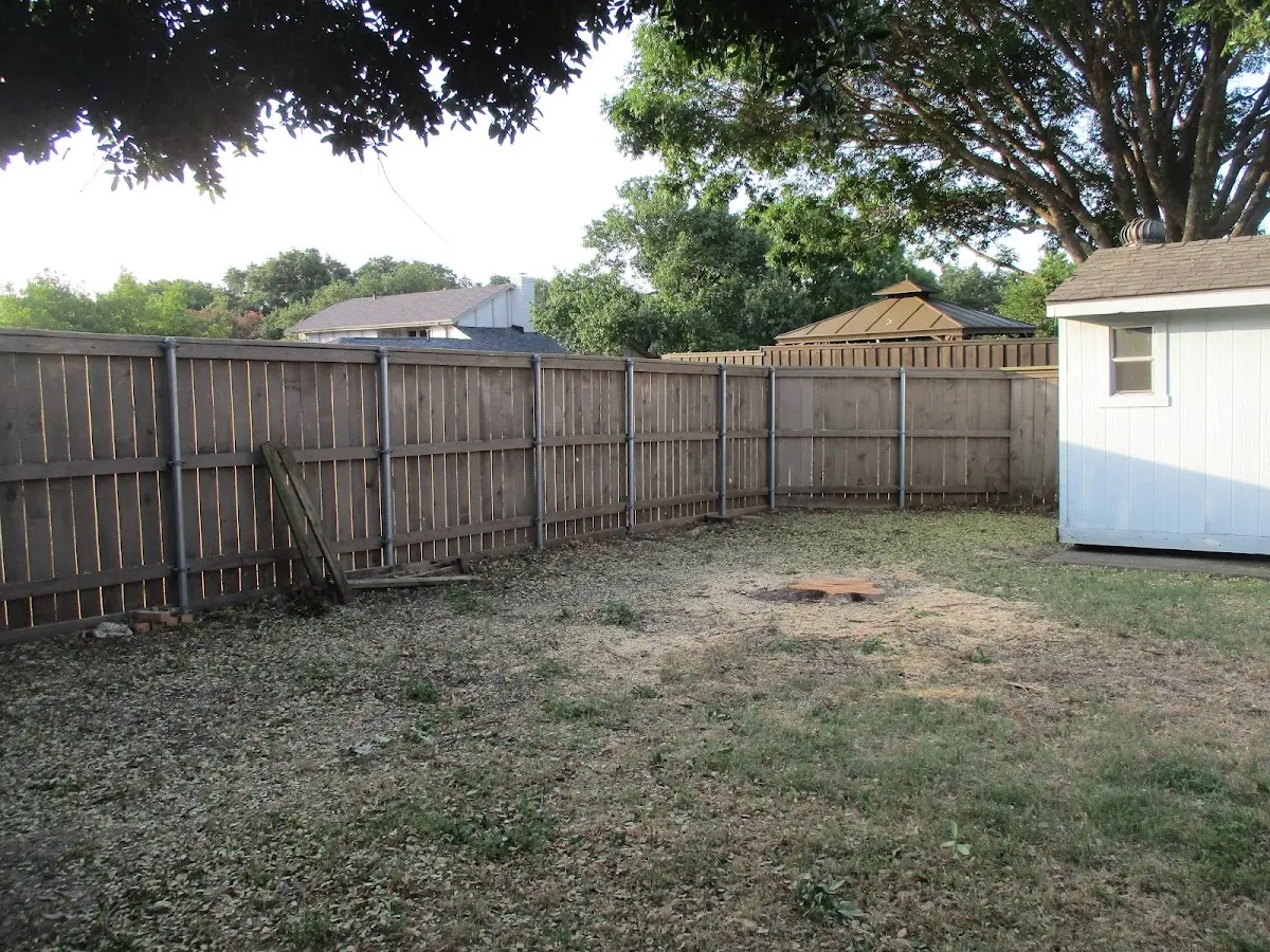 Cleared yard after professional tree removal in Antelope